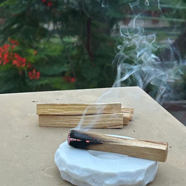 Palo Santo Sticks – Set of 2